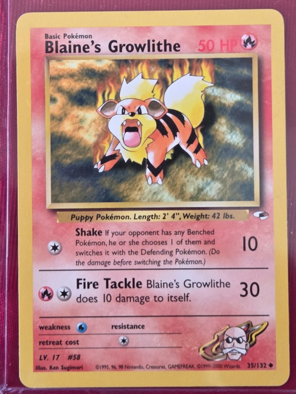2000, POKEMON BLAINE'S GROWLITHE CARD!!!